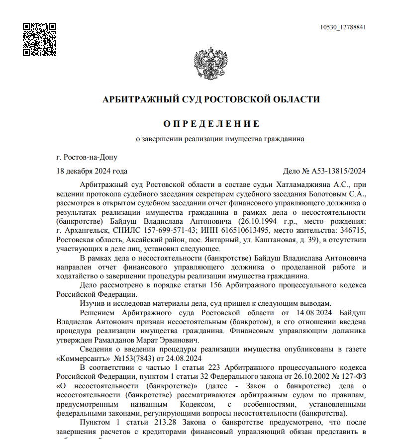 Скриншот дела А53-13815/2024